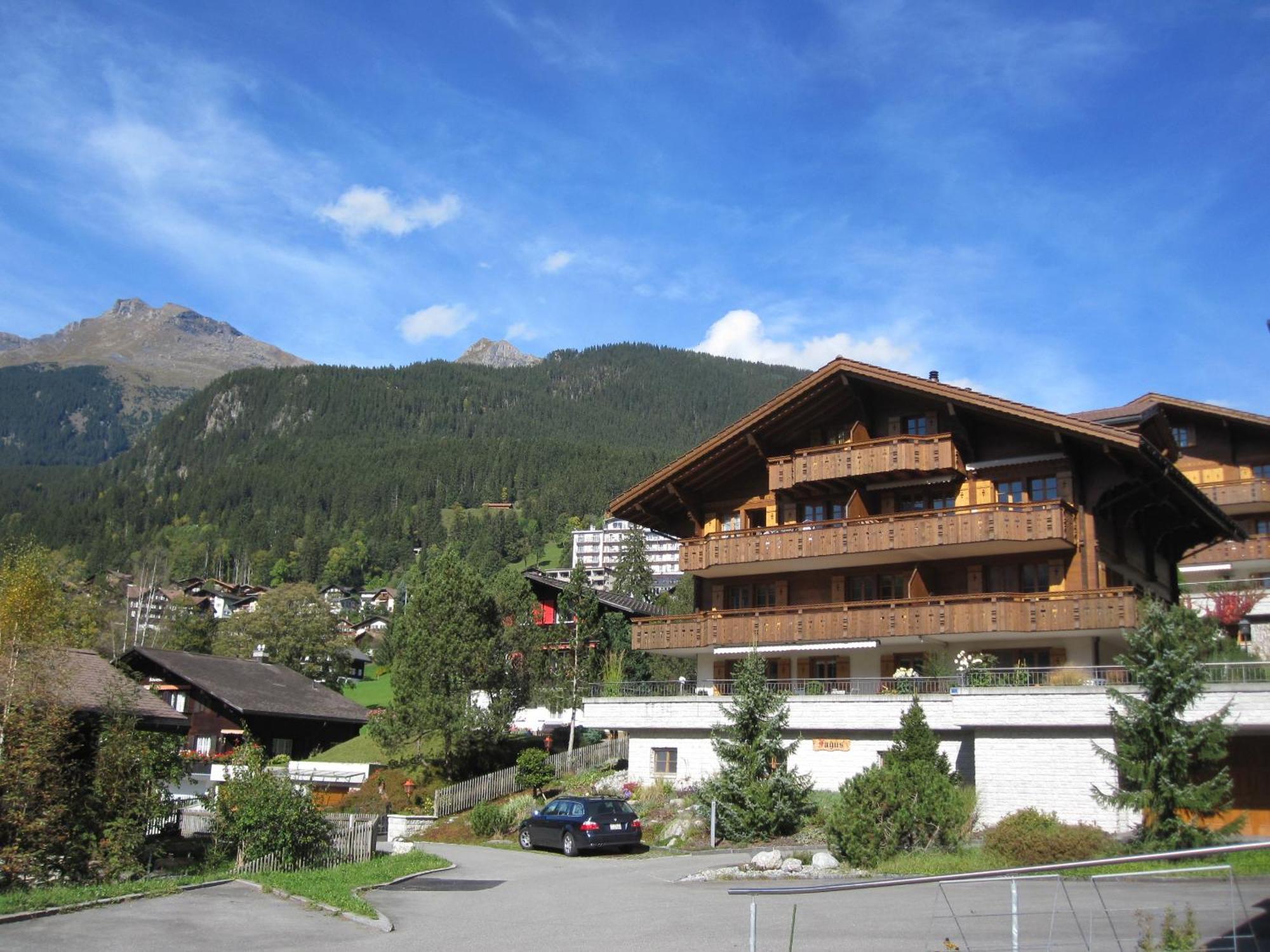 Mom - Alpine Boutique Apartments, Chalet Fagus, Terrace Studio Grindelwald Dış mekan fotoğraf
